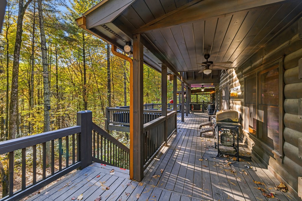 420138 Ellijay Residential