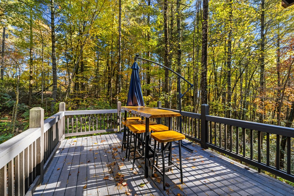 420138 Ellijay Residential