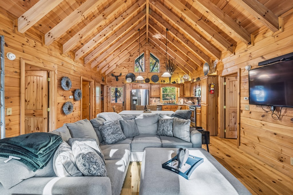 420138 Ellijay Residential