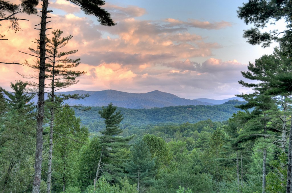 420163 Blue Ridge Residential