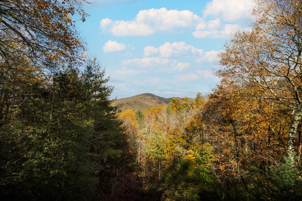 420168 Blue Ridge Residential